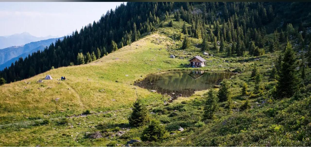 Les Amandines-Le Cosy Ideal Curistes Аллевар Екстер'єр фото